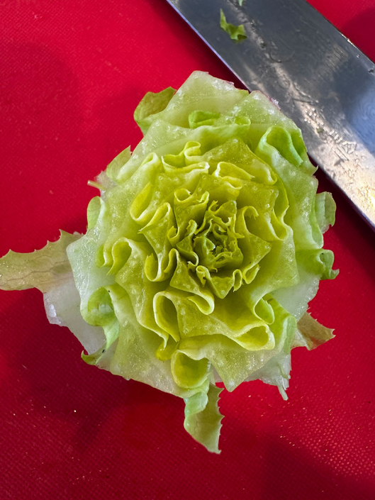 Stem of cut romaine lettuce